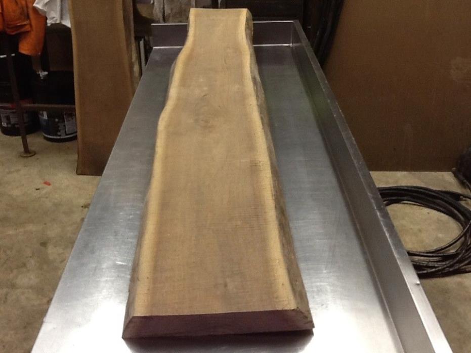 Taxidermy mount Live Edge Wood Slab Black Walnut Rustic Board Table bench