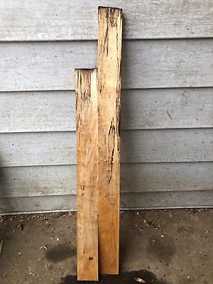 Spalted Hard maple lumber