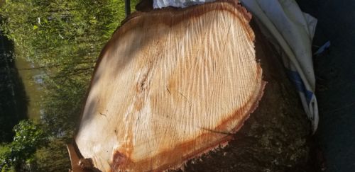 live edge wood slab round Tree Slice Table Top large heavy thick Slab with bark