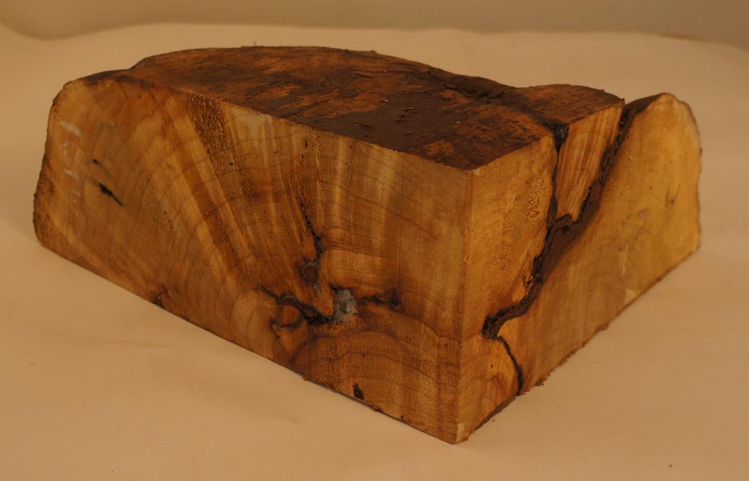 Exceptional figured crotch Maple Burl block CCM101