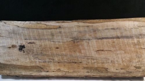 SPALTED  MAPLE  BLACK  LINE RAW CUT   LUMBER   SLAB./ WOODWORKING.