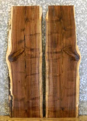 2- Live Edge Black Walnut DIY Charcuterie Boards/End Table Top Slabs 8484-8485