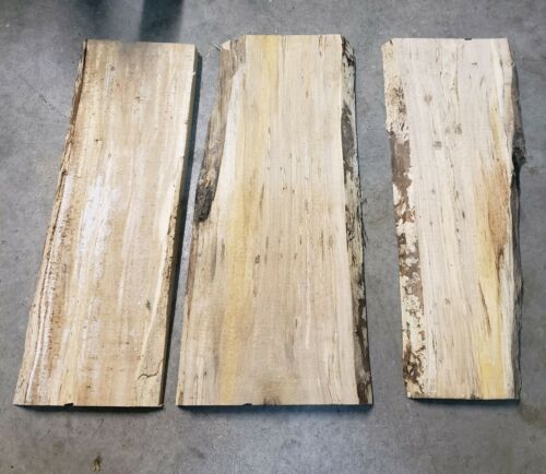 Rough Cut Spalted Maple Boards.  Ready for your craft project 23 1/4