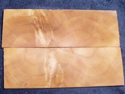 stabilized maple burl wood knife scales handle blanks inlays crafts