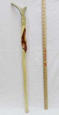 Diamond Willow Cane w/ Deer Antler Handle Horn Sanded Walking Stick Varnished