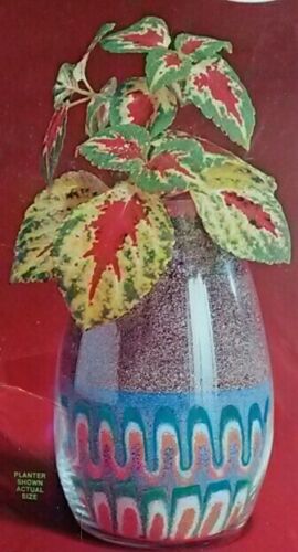 New: Vintage 70's Avalon Sand Art Garden Kit