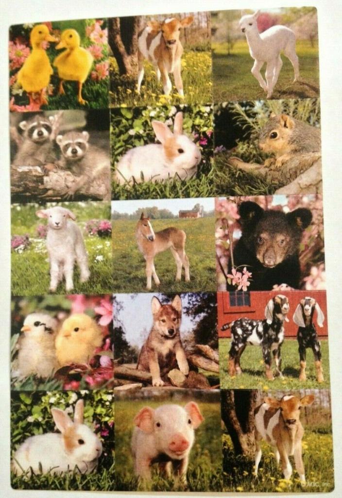 SH1:  American Greetings Stickey-Doo-Da Baby Animals Stickers - Spring, Easter