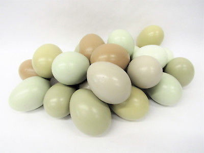 New Lot of 24 Blown Hollow Painted Americana Chicken Hen Eggs Set Spring