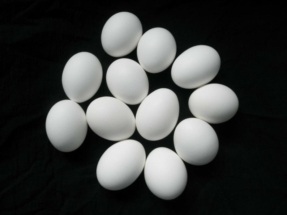 12 Real Jumbo White Hand Blown CHICKEN EGGS by the Dozen PYSANKY EASTER