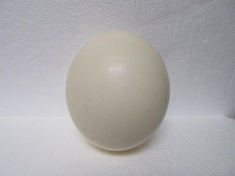 OSTRICH EGG SHELL ART CRAFTS PAINT ENGRAVE DISPLAY EASTER