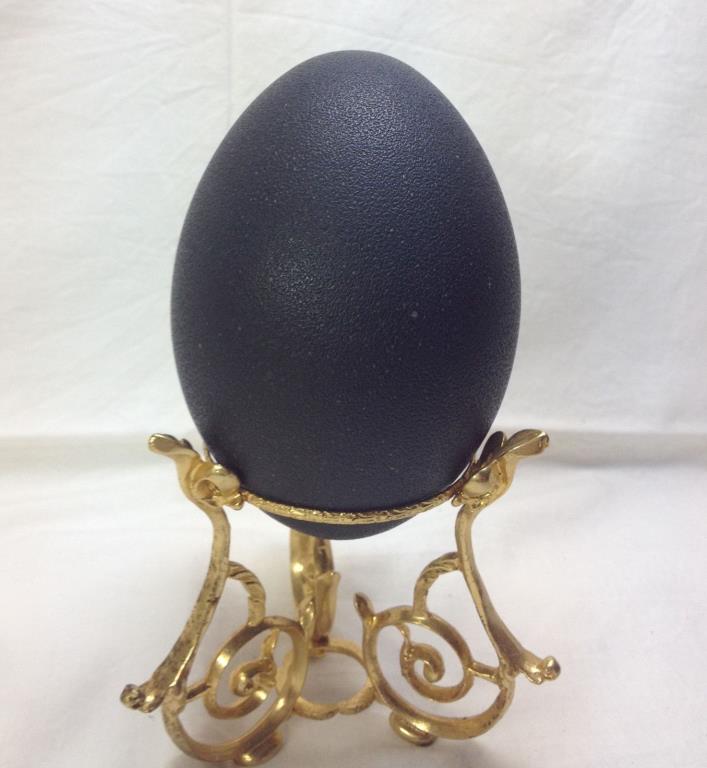 Empty Emu Egg for Decoration or Crafts 11.25