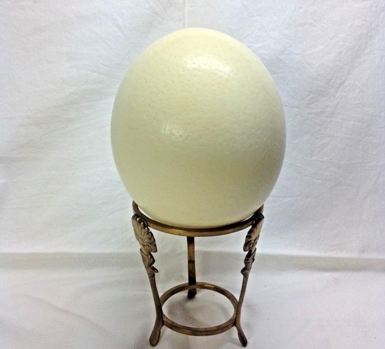 Jumbo Empty Ostrich Egg for Decoration or Crafts 18