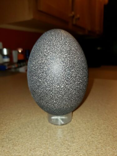 Emu Egg