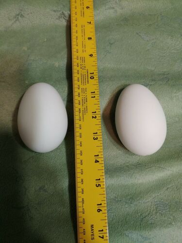 BLOWN GOOSE EGGS Two.