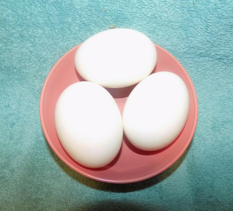 blown goose eggs white with 2 holes craft