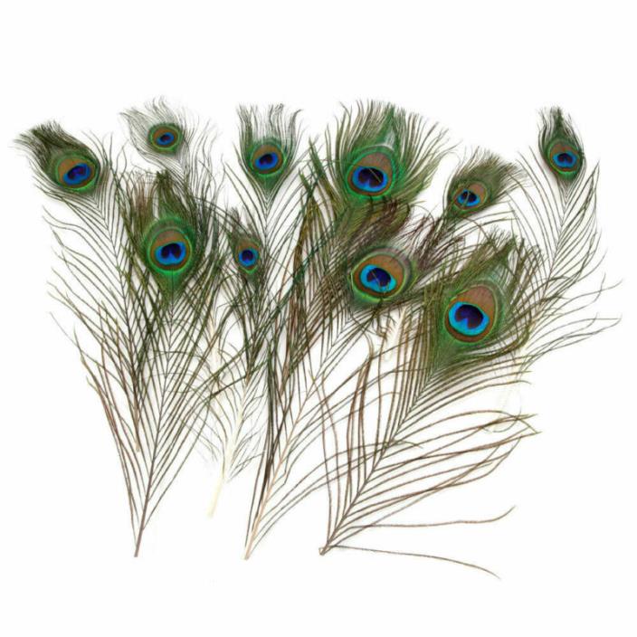 US 10pcs 25-30CM Real Natural Peacock Tail Eyes Feathers Wedding Party DIY Decor