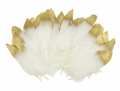 60 pcs Natural White Gold Sparkle Dipped Feather in Bulk for Wedding Craft Party