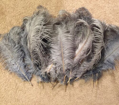 Lot of 30 Ostrich Feathers Silver Gray 18-20”
