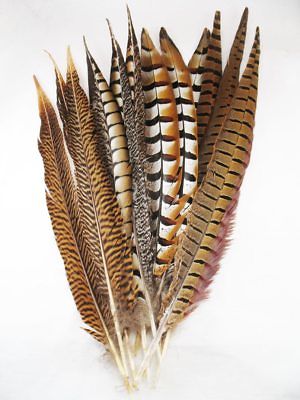 Pheasant Tail Feathers DELUXE MIX Long  16-20 inch per DOZEN
