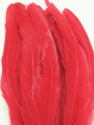 Red Coque Rooster Tail Feathers 12-14 inch per Ounce
