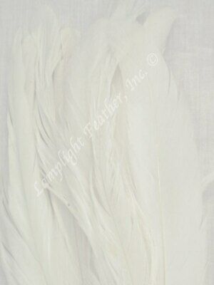 Natural White Coque Rooster Tail Feathers 10 inch per Half Ounce