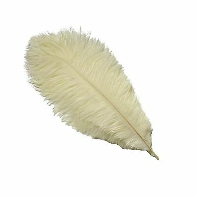 Sowder 10pcs Ostrich Feathers 12-14inch(30-35cm) for Home W... - FREE 2 Day Ship