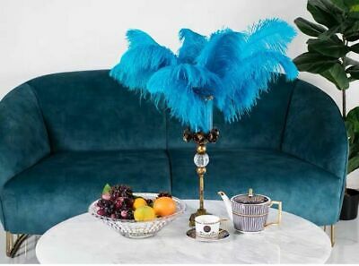 22-24 inches 50 Pcs Turquoise Malibu Ostrich Feathers Plume Wing Horse Feather