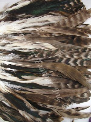 Natural Coque Rooster Tail Feathers Chinchilla 5-8 inch per Ounce