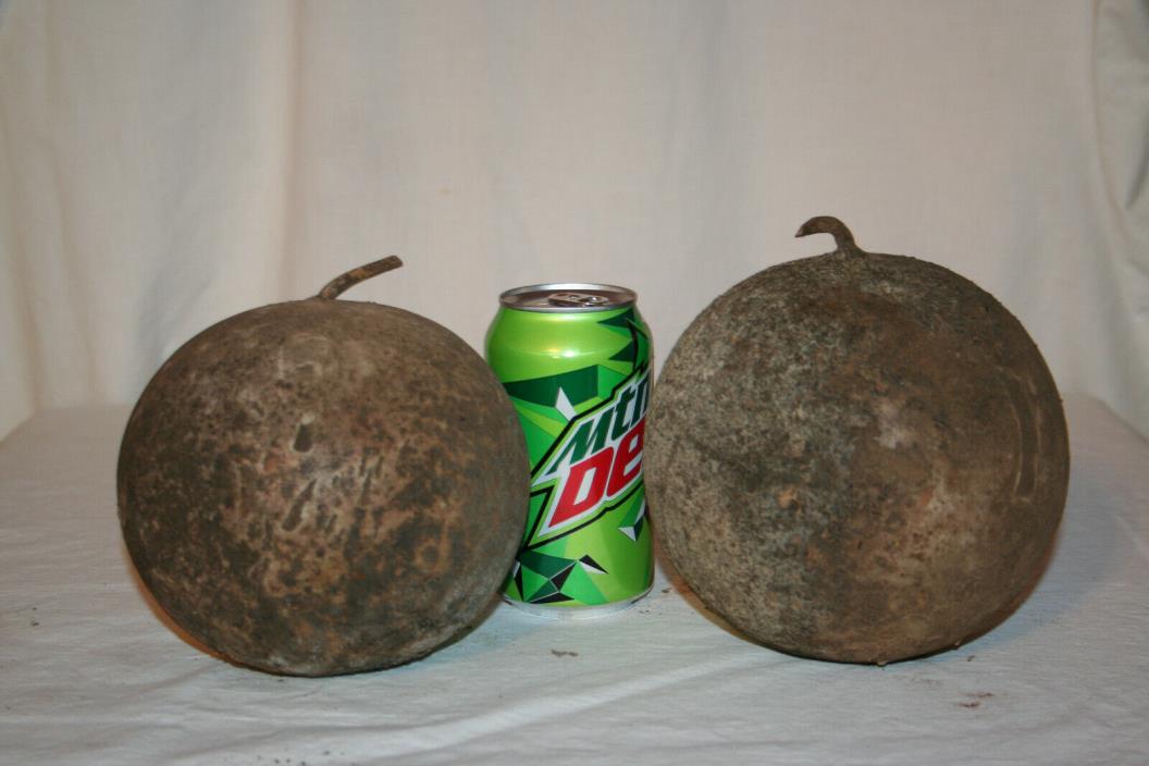 Two Cannonball gourds, uncleaned