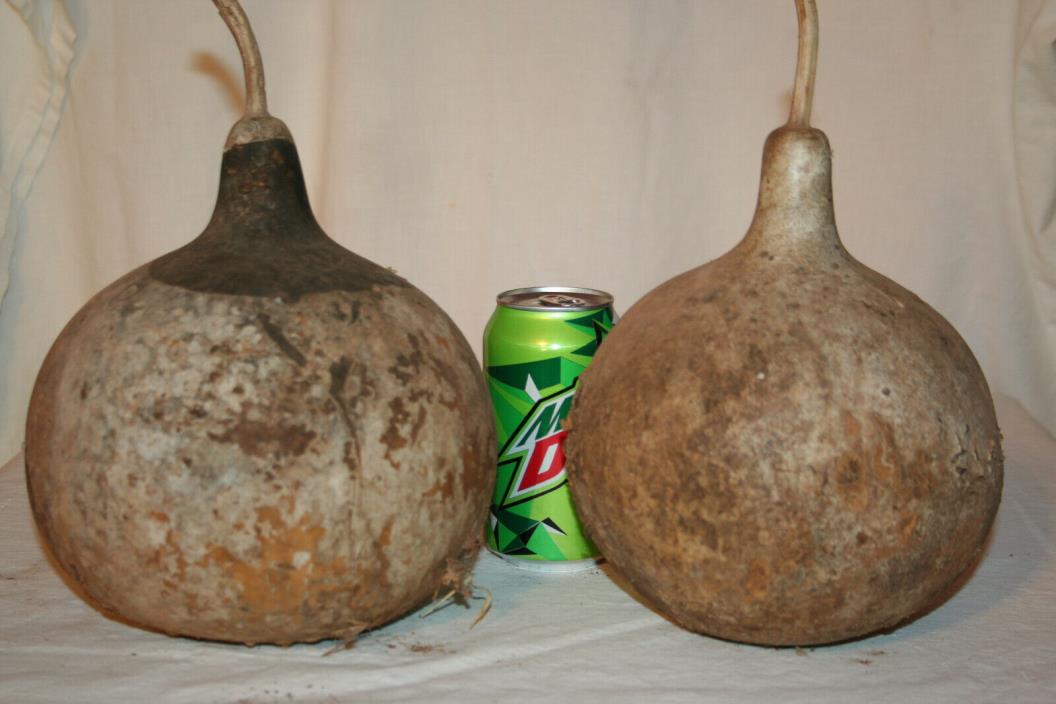 Two bushel mixed gourds, uncleaned