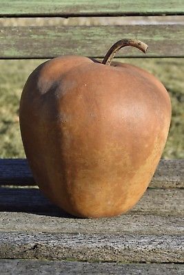 One Large Dried Apple Gourd for crafts