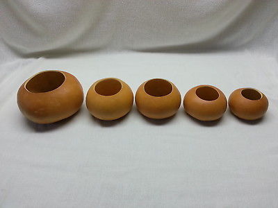 Gourd Bowls- 5 Bowl Set- Cleaned & Ready to Craft