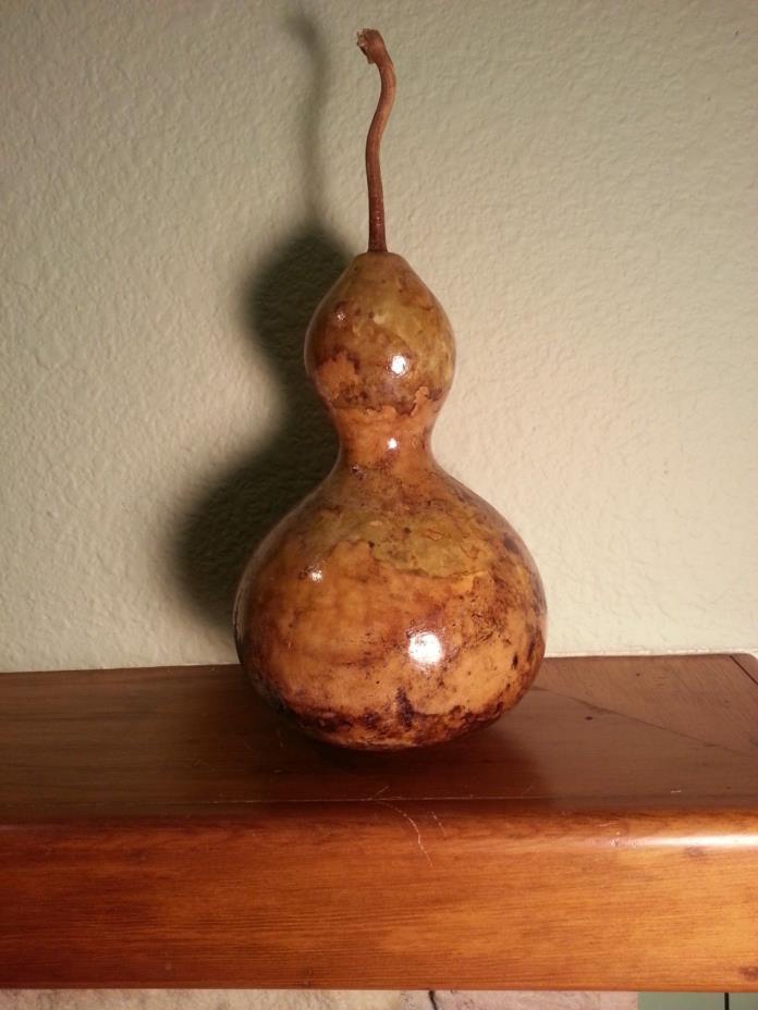 Birdhouse gourd for crafts Varnished, display, birdhouse