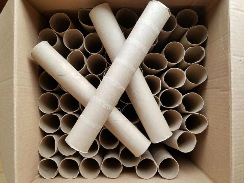 Lot of 58 Paper towel rolls, Cardboard tube, Empty Crafts Art DIY School Project
