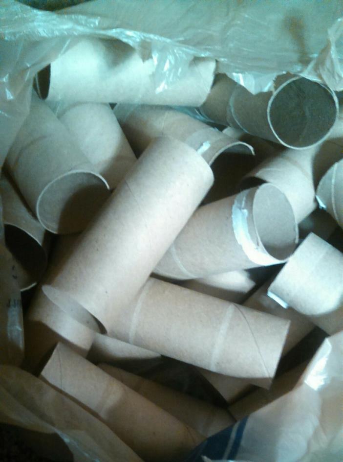 27 Empty Toilet Paper Rolls for Arts & Crafts, Church, School, Science Projects