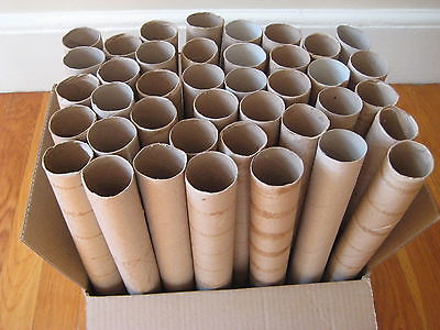 Lot 40 Empty Cardboard PAPER TOWEL ROLLS Tubes Art Craft School Project supplies
