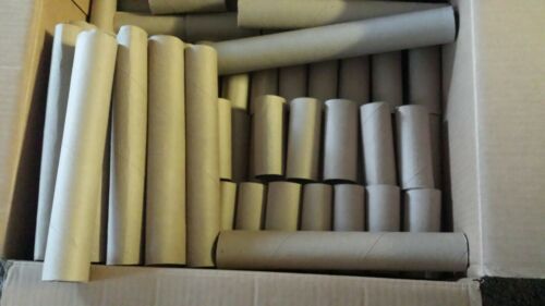 100 Clean Empty Toilet Paper Rolls plus 25 paper towel rolls Craft Art School