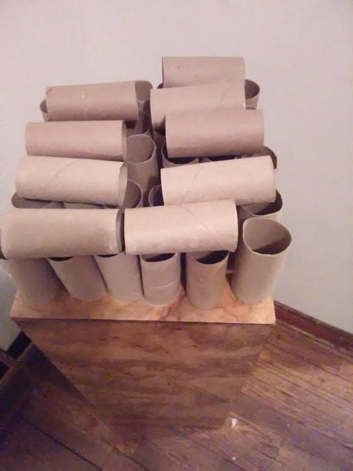 100 Empty toilet paper rolls and 25 empty paper towel rolls for all your crafts
