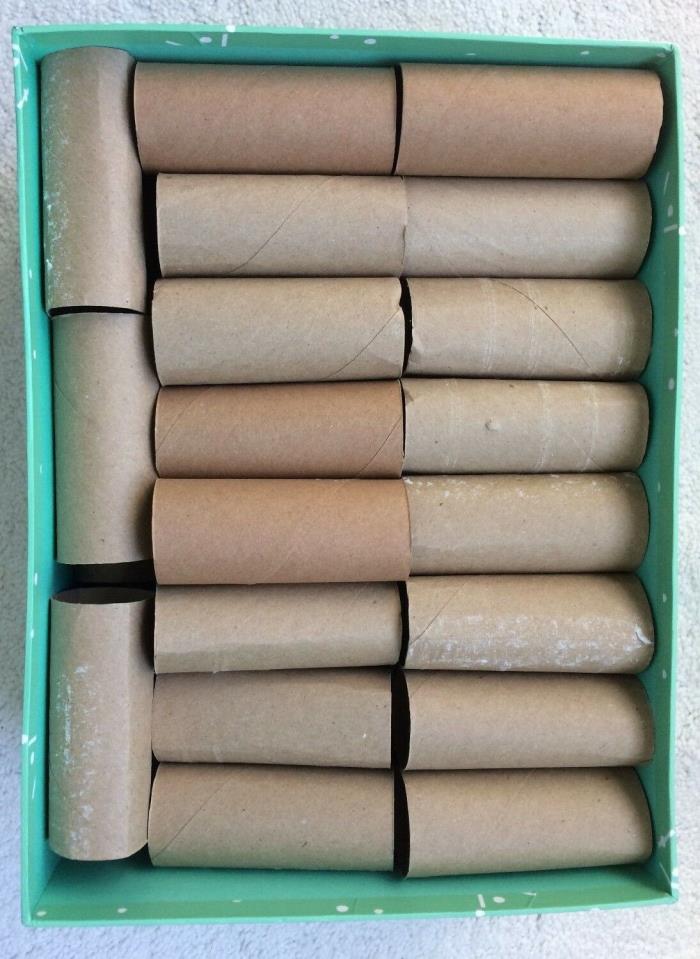 Toilet Paper Rolls 50 Empty Craft Supplies School Projects Pre-Owned