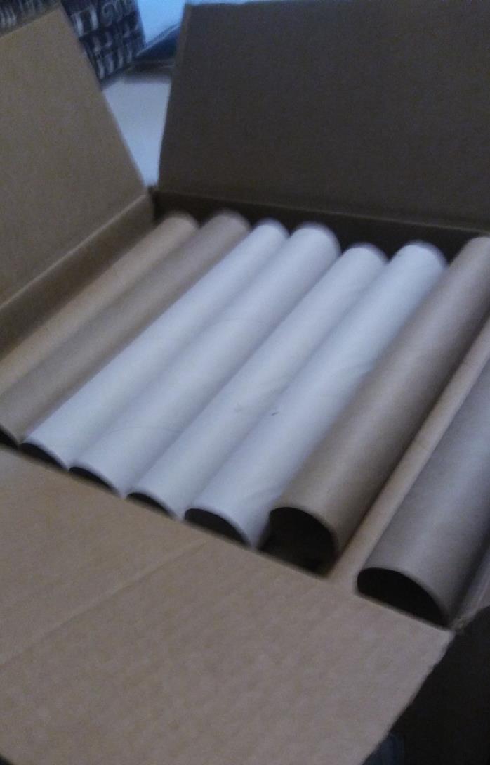 55  Empty Paper Towel Rolls. For Crafts,Camp , or School   Projects