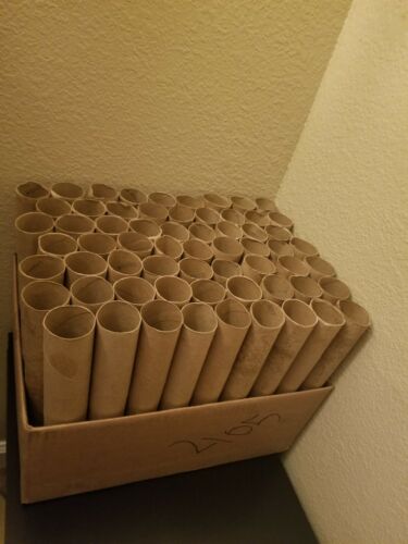 LOT of 100 Empty Paper Towel Rolls--Crafts/Projects/School/Church/Scouts