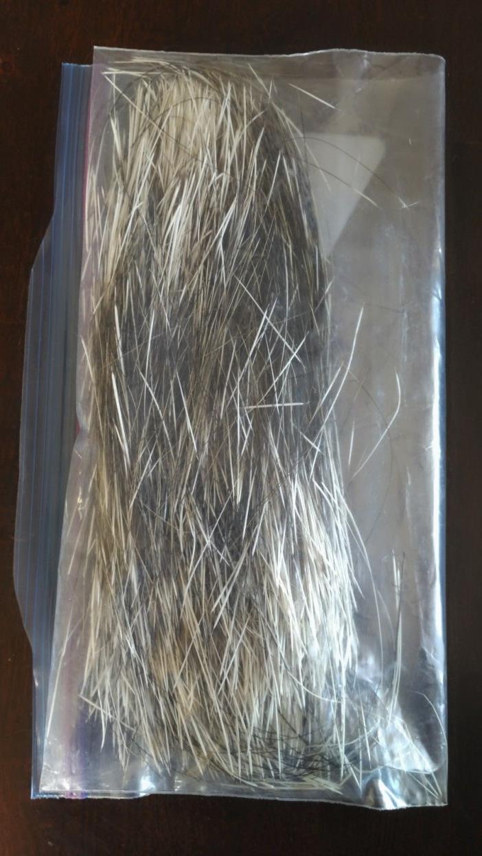 1.1 Ounce Porcupine Guard Hair