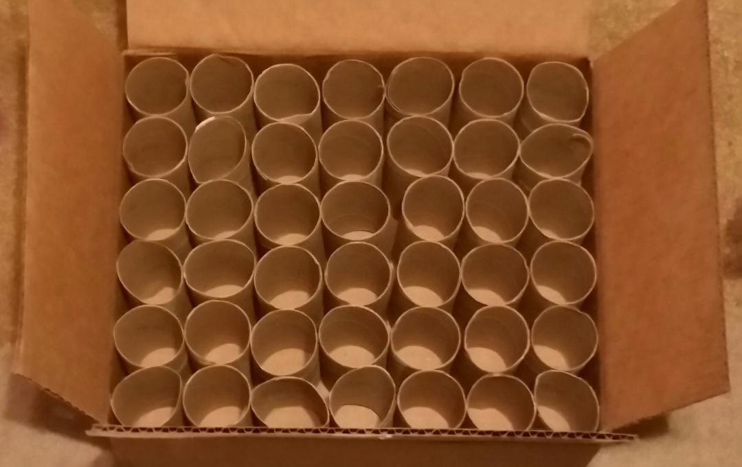42 Empty Toilet Paper Rolls Clean Cardboard Tubes for Arts & Crafts