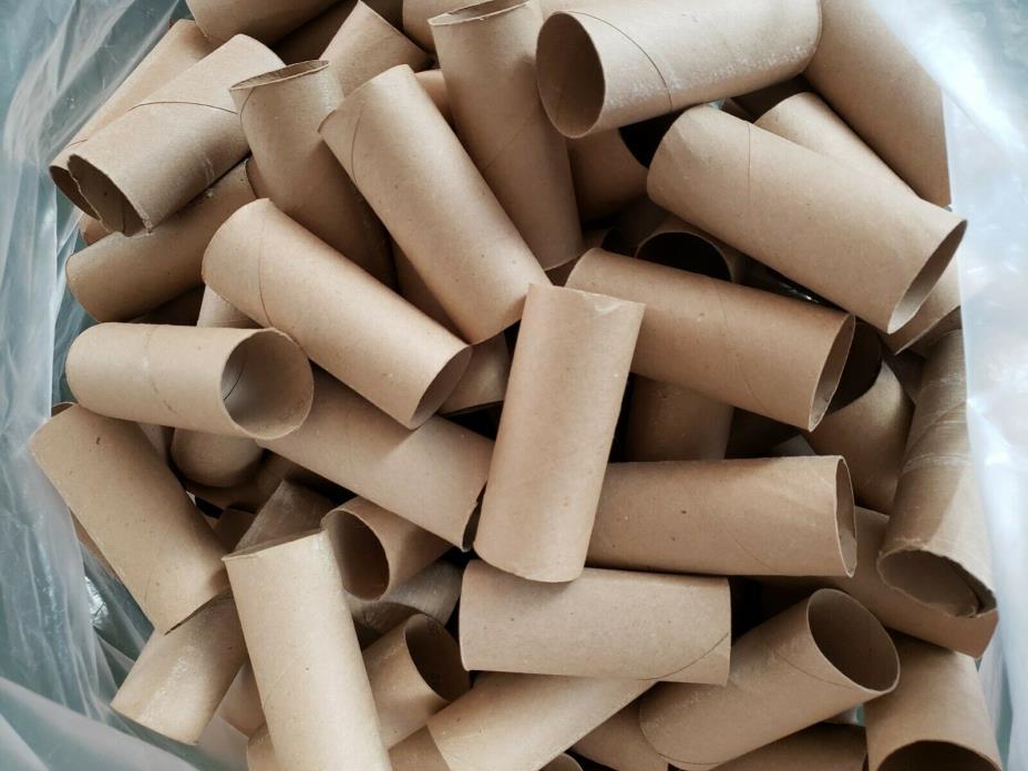 100 Empty Toilet Paper Rolls
