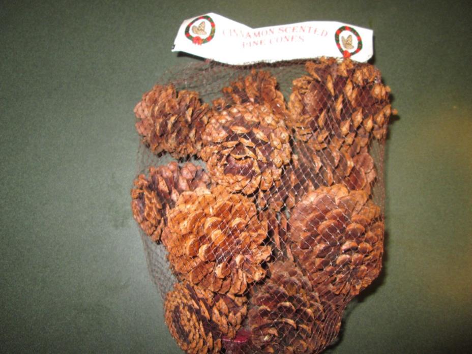Cinnamon Scented Pines cones - new 10 in bag - great price !!!!! 3 bags