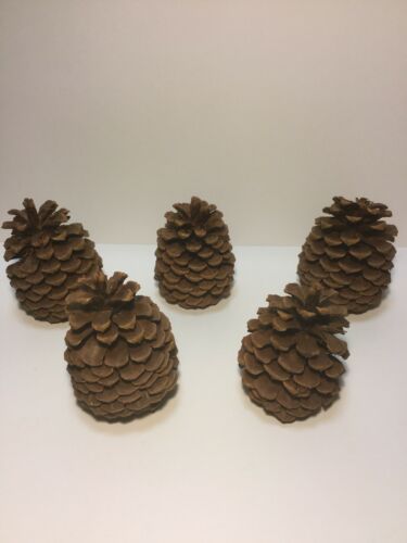 Lot of 5 Large Pine Cones for Holiday Crafting Decorating 6” High