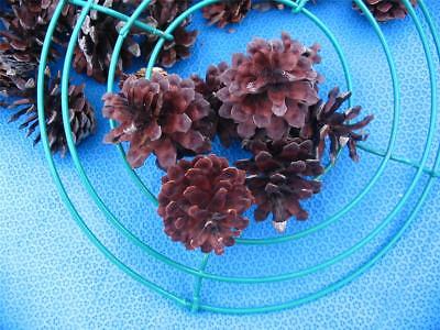 Holiday Wreath Kit UNIQUE Jack Pine Cones steel wire frame Fall & Winter Crafts