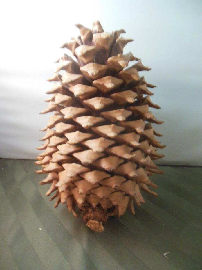 Large 9” Pine Cone