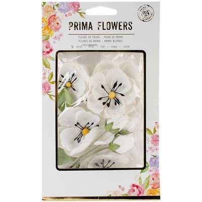 Prima Flowers Blackthorn 655350594718