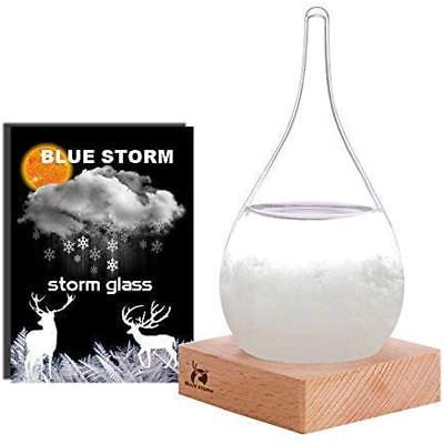 BLUESTORM Storm Glass Weather Predictor Barometer Forecaster Creative Crystal -